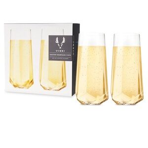 Viski Faceted Champagne Flute Set
